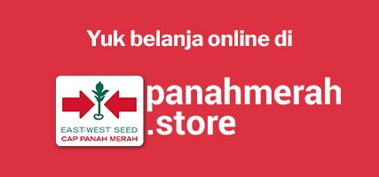 Yuk belanja online