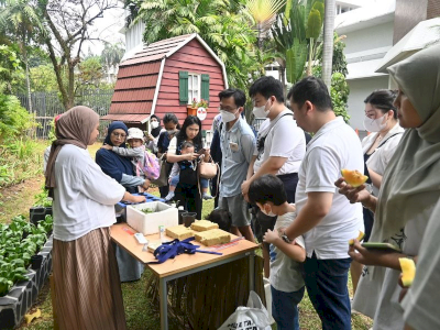 Melatih Bercocok Tanam di Pekarangan Bersama Pengunjung Pasar Belanda