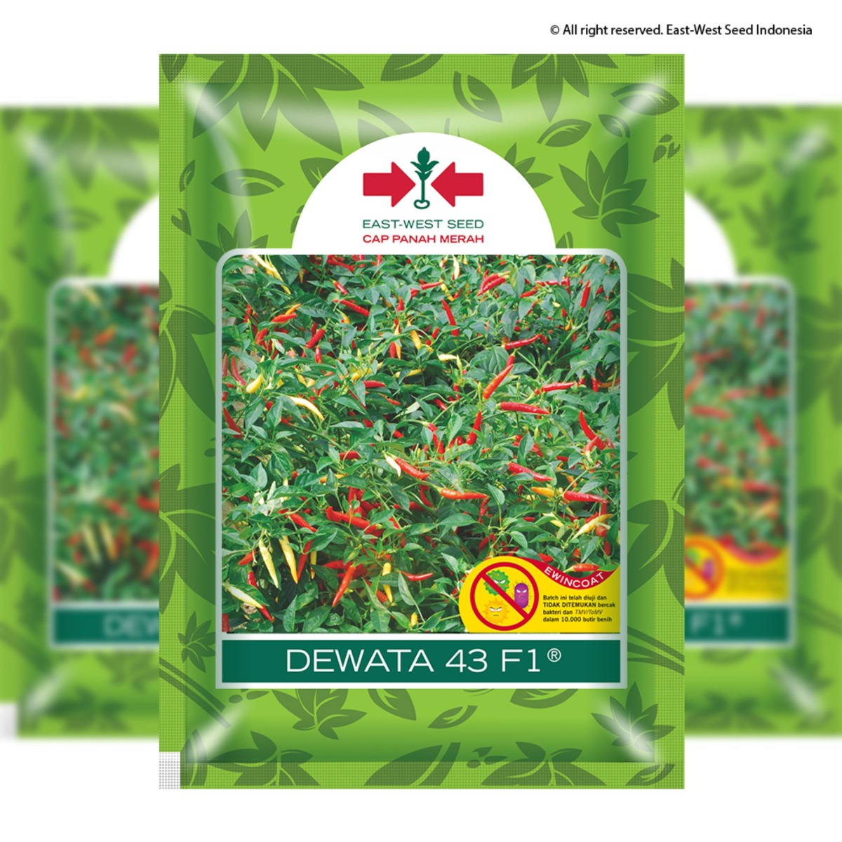 DEWATA 43 F1