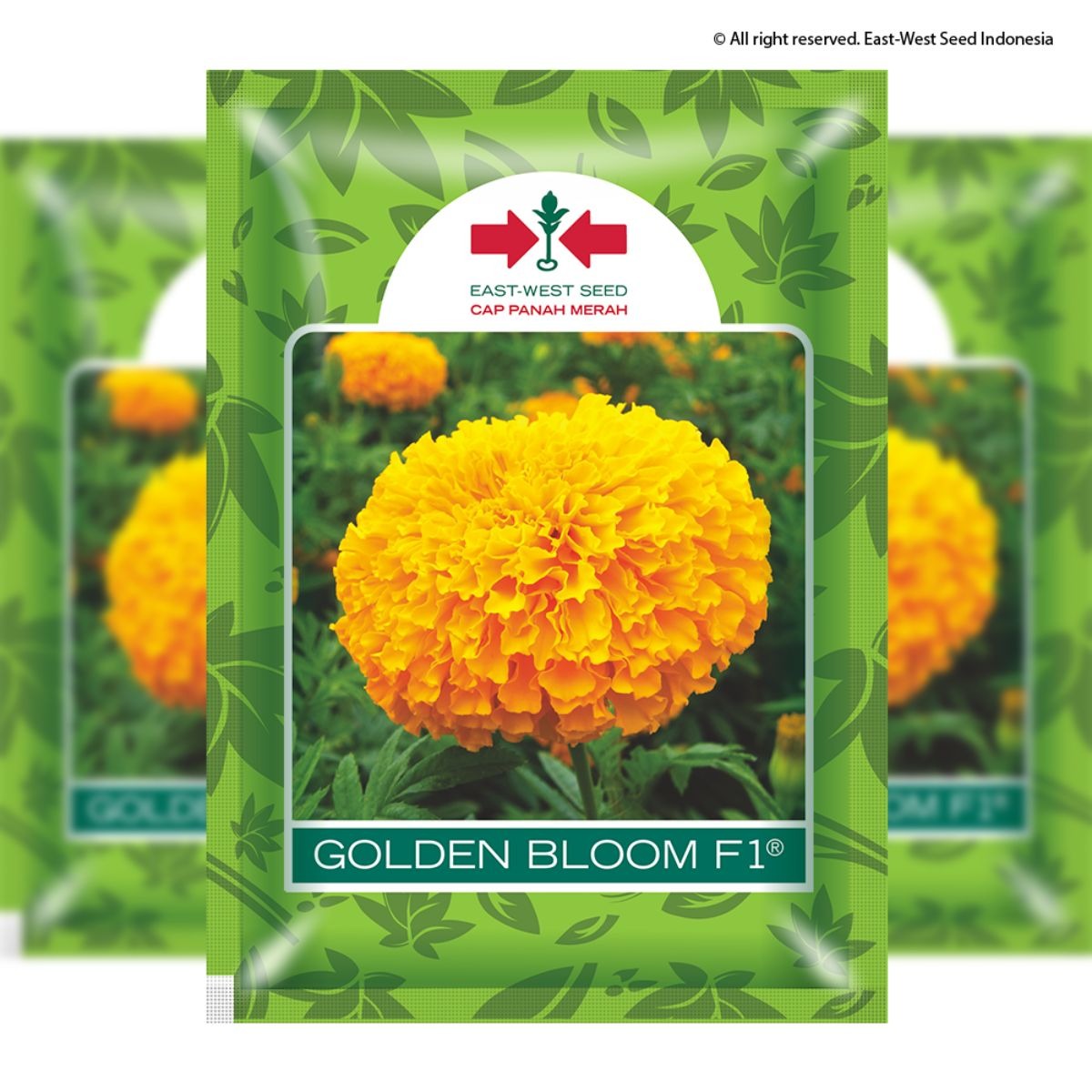 GOLDEN BLOOM