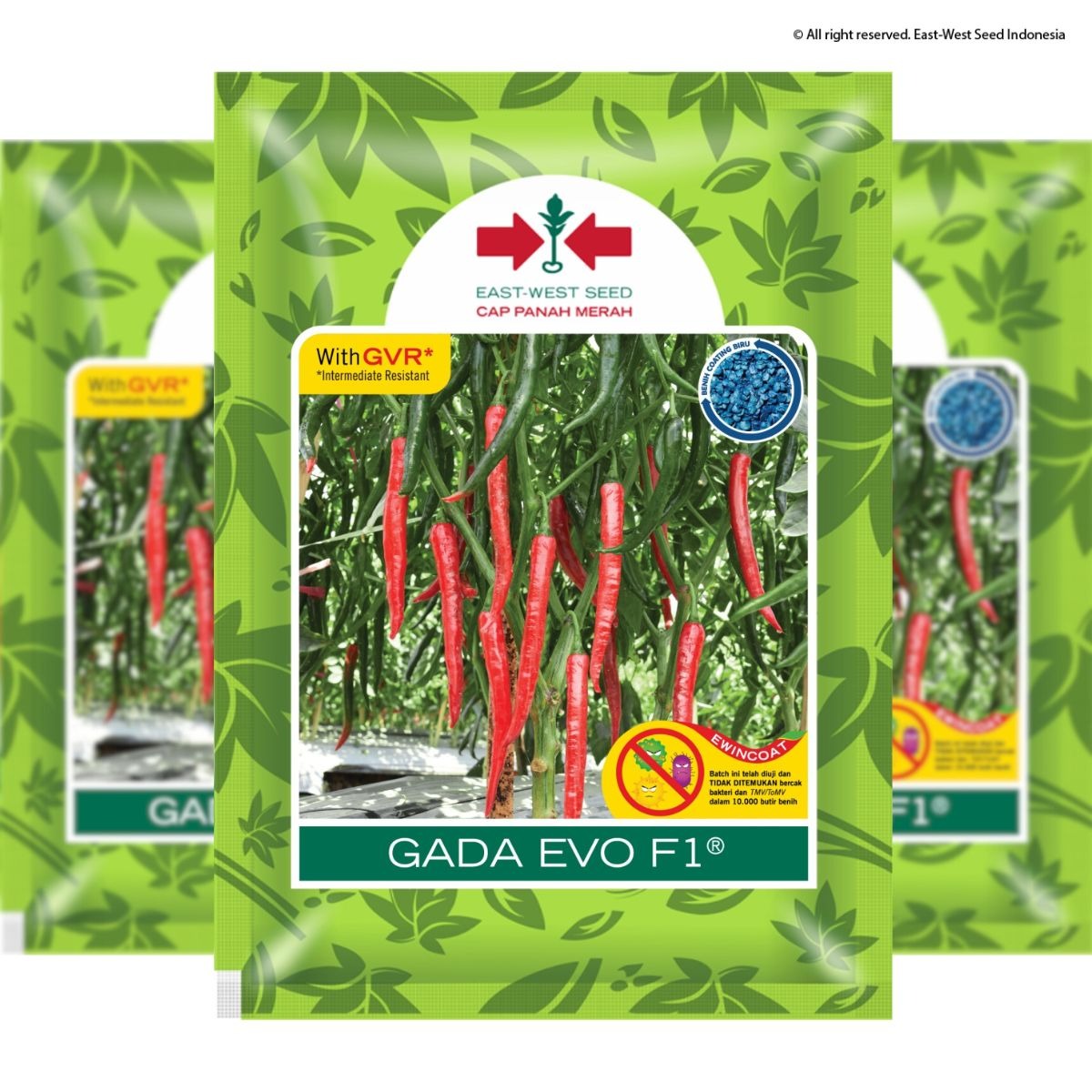 GADA EVO